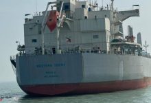 الأرز الأمريكي