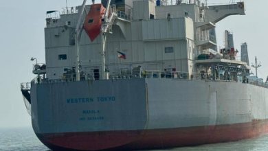 الأرز الأمريكي