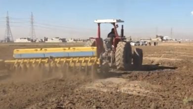 الأراضي الزراعية