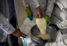 مفردات البطاقة