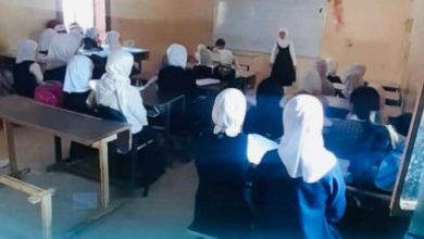 نشاطاته التربوية