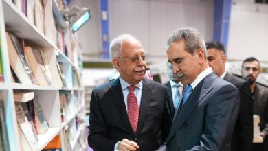 النسخة السادسة