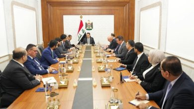 حوكمة النظام