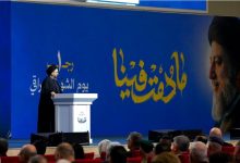 السيد الحكيم