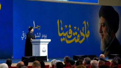 السيد الحكيم