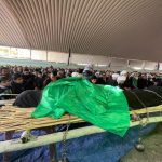 ذي قار تحيي ذكرى استشهاد الإمام الكاظم (ع) بتشييع رمزي وعرض مسرحي ومجالس عزاء