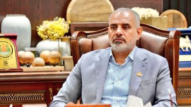 السلطة القضائية