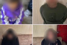 شبكة إجرامية