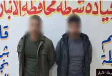 المواد المخدرة