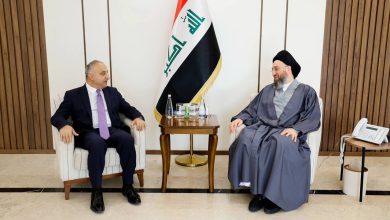 السيد الحكيم