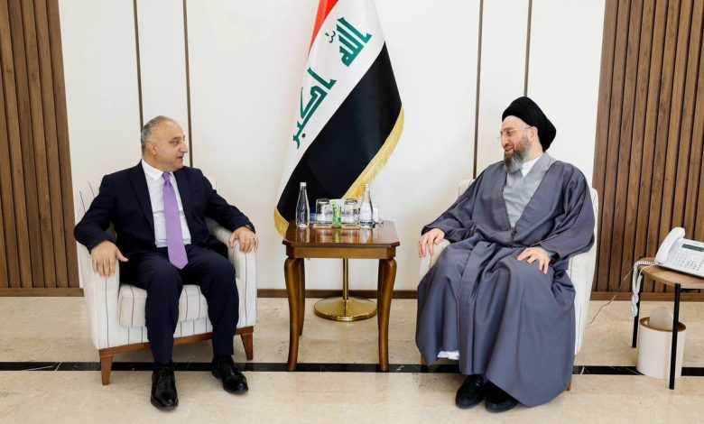 السيد الحكيم