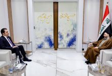 السيد الحكيم