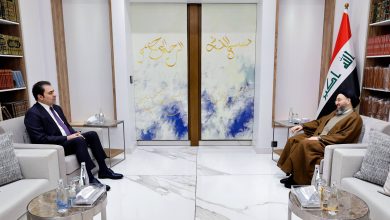 السيد الحكيم