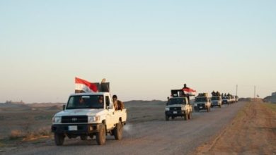 صحراء نينوى