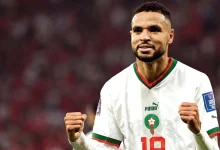 الانتقالات الشتوية