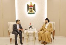 السيد الحكيم