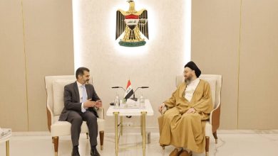 السيد الحكيم