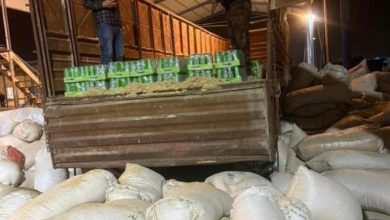 السيطرات المحاذية