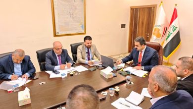 تدقيق المركبات