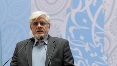 نائب الرئيس