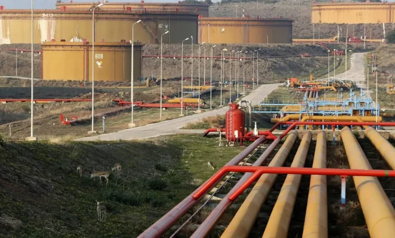 استئناف التصدير