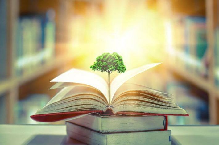 الحوزة الشريفة