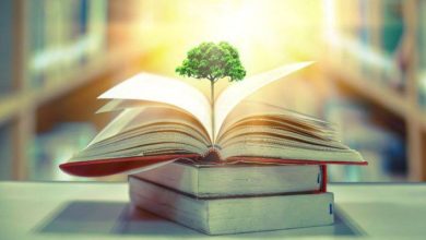 الحوزة الشريفة