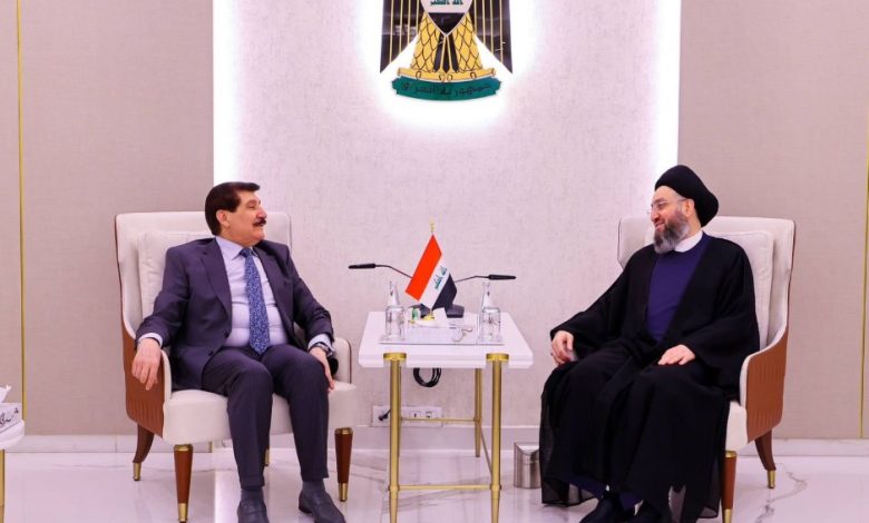 السيد الحكيم