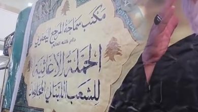 معونات غذائية