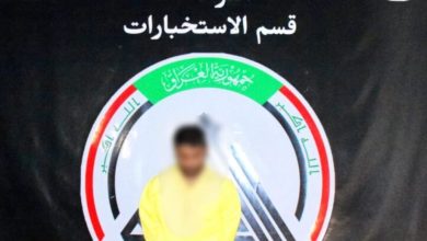 سهل نينوى