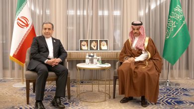 استمرار الدبلوماسية