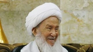 المرجع الفياض