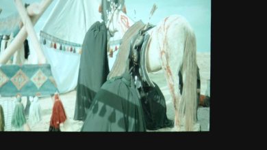 الفيلم السينمائي