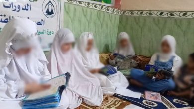 الدورات الصيفية