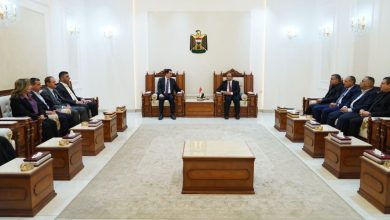 الجهود السياسية