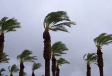 المنطقة العربية