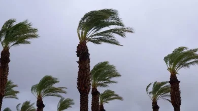 المنطقة العربية