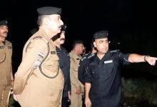 التاجي